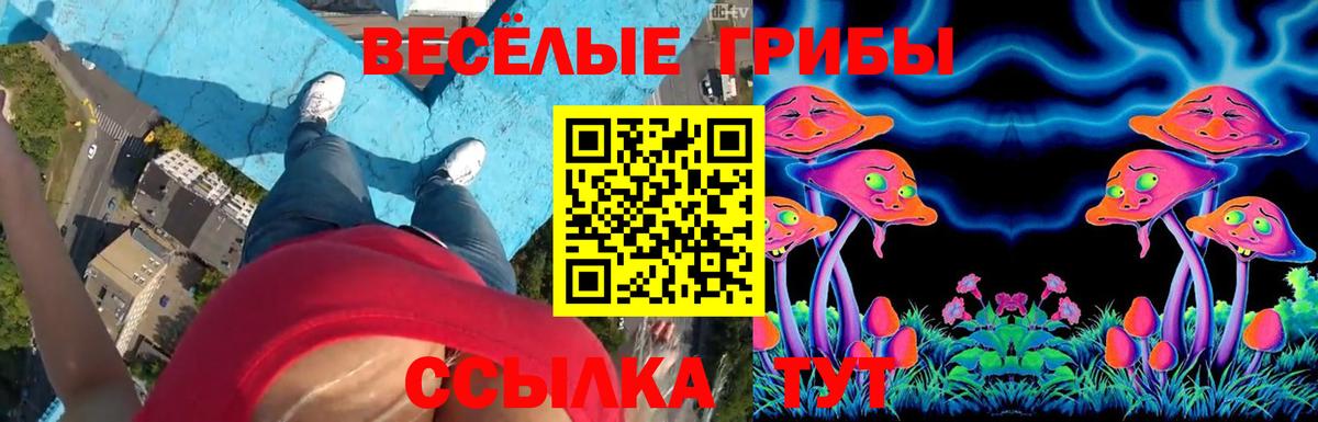 Псилоцибиновые грибы Psilocybine cubensis Назарово